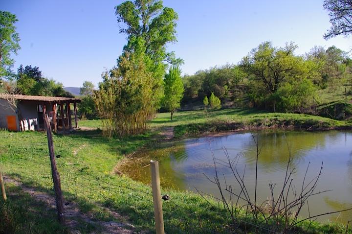 ホテル Domaine De Chadeyron ラゴルス エクステリア 写真