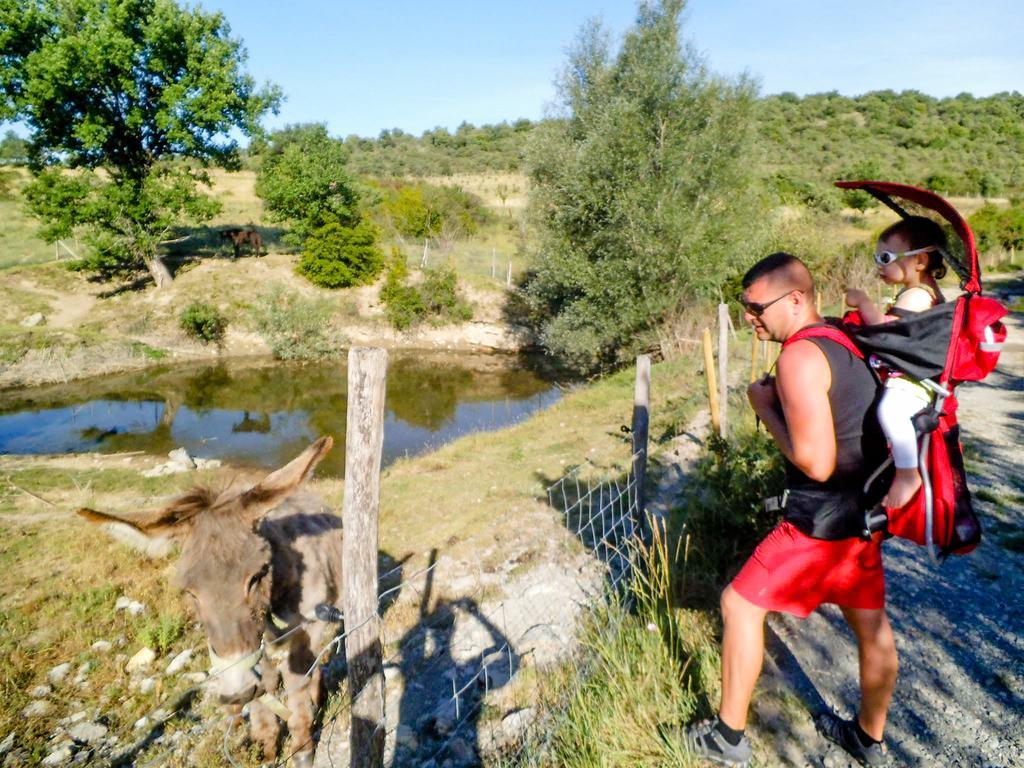 ホテル Domaine De Chadeyron ラゴルス エクステリア 写真